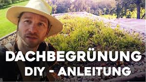 Hier werden rotkehlchen, meise und co. Dachbegrunung Selber Machen Die Detaillierte Anleitung Youtube