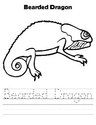 Bearded Dragon Coloring Page Animals Town Animals Color Sheet Bearded Dragon Free Printable Coloring P Dragon Coloring Page Bearded Dragon Coloring Pages