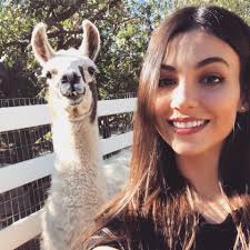 Had the best time ever at The Gentle Barn today! They rescue & rehabilitate  animals that are abused, sick, old, etc. They give them so much love it's  incredible. This place feeds