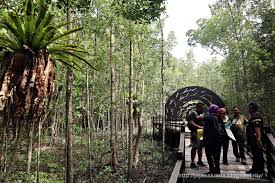 Kawasan karst maros pangkep merupakan yang terbesar dan terindah kedua di dunia setelah kawasan karst di cina. Taman Negara Johor Pulau Kukup Tanjung Piai Jejakakaula