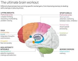 Five Different Physical Exercises That Affect The Brain In Very Different Ways Yoga For Kids Physical Fitness Brain Exercise