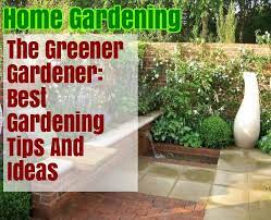 You Can Be Successful At Organic Gardening Organic Gardening Gardening For Beginners Gardening Tips