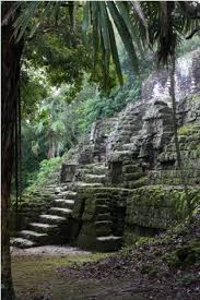 El Tikal Es Un Ciudad Antiguo La Ubicacion De Este Ciudad Es En El Peten Guatemala El Tikal Solia Ser Tikal Lugares Hermosos De Mexico Ciudad De Guatemala