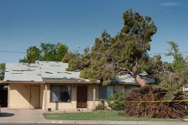 Unless a tree has been partially or completely uprooted as the result of a storm or some other uncontrollable circumstance, your homeowners insurance and tree removal service likely won't be playing well together. Does Homeowners Insurance Cover Roof Replacement