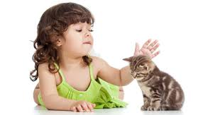 Tingkahnya semakin sukses menghibur para penggemarnya. Doktor Veterinar Nasihat Ibu Bapa Patut Biarkan Anak Anak Bela Kucing Supaya Jadi Terapi Buat Anak Pa Ma