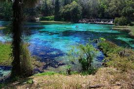 Canoeing kayaking dunnellon florida rainbow river winter getaways river i manatees back. 29 Rainbow River In Dunnellon Ideas Rainbow River River Florida
