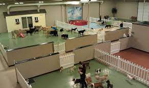 Dog Daycare Services In Toledo Ohio A Pups Paradise Dog Daycare Business Dog Daycare Design Dog Playground