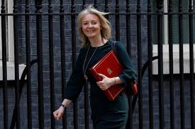 I'm liz truss, member of parliament for south west norfolk and secretary of state for international trade and president of the board of trade. Factbox Five Facts About Liz Truss Britain S New Trade Minister