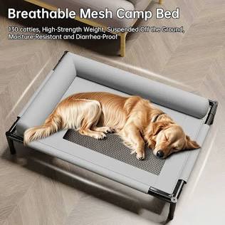 Elevated mesh beds allow 360-degree airflow for outdoor comfort. (Source: pawfectlypets.shop), AI generated