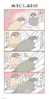 buncho box 鳥 絵 可愛い鳥のまとめ 鳥 かわいい