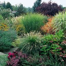 15 Ways To Use Ornamental Grasses In Your Landscape Beautiful Gardens Ornamental Grasses Xeriscape
