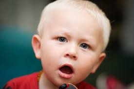 Guy Family Photographers