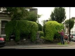Great British Garden Revival Episode 2 Topiary And Roof Gardens British Garden Roof Garden Topiary