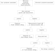 diagnostic flow chart to detect forms of allergy different