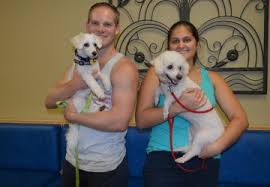 Sheila Coffman Joins TDL