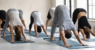 Downward facing dog was particularly difficult, and i did the best version i could while still keeping up with the class. Your Shoulders In Downward Facing Dog What To Do With Them