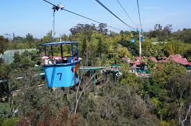Check spelling or type a new query. San Diego Zoo Skyfari