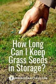 How Long Can I Keep Grass Seeds In Storage Grass Seed Planting Grass Lawn Care Tips