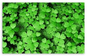 Admit it or not, we are not so new to the concept of multitasking. The Four Leaf Clover Consulting Linkedin
