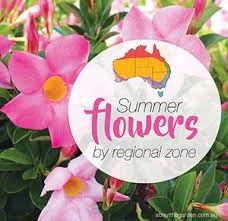 Check spelling or type a new query. Summer Flower Planting Guide By Regional Zones Australia About The Garden Magazine