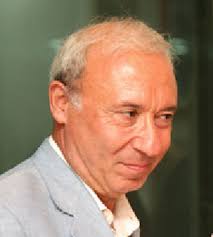 Scientific Computing in Electrical Engineering SCEE 2008 (Mathematics in  Industry