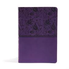 It explains exactly how this customer uses womo's platform and they are smart to include a tiny bit of. Niv Rainbow Study Bible Purple Leathertouch Holman Bible Staff 9781433616570 Amazon Com Books