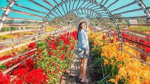 Romantic Garden Spot Taman Bunga Instagramable Di Bantul Niagatour