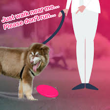 Search places near me find your location instantly when you entered and provide nearby places according to the category you selected in a list as atm me, heroes around me, pet store around me, supermarkets around me, atm around me, churches around me, food around me, fast food. Petsensus Petsensus Twitter