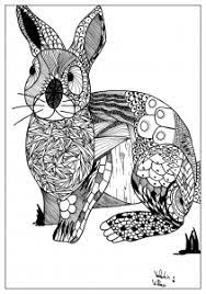 Peter rabbit coloring pages easy drawings of rabbit Rabbit Coloring Pages For Adults