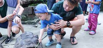 Just a year before the target of doubling farmers' income, india recorded 165 major protests across 22. Mini C Visits Farm In The City Seri Kembangan Brought Up 2 Share