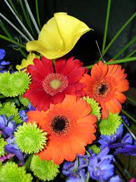 Check spelling or type a new query. Vivian S Floral And Gifts Home Facebook