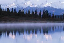 Larger than the state of new jersey, denali national park and preserve is a vast wilderness that is mostly untouched by human hands, save for the one park road. Denali National Park And Preserve National Park Alaska United States Britannica