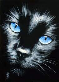 Chat Noir Aux Yeux Bleus C Noir Au Yeux Bleu Chat Noir Portraits Au Fusain