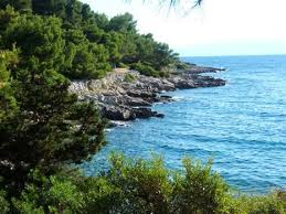 125 cabins and condos in mali losinj. Mochten Sie Mali Losinj Insel Losinj Besuchen Reisefuhrer