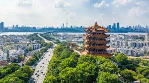 China is currently facing its broadest outbreak since the virus first emerged in late 2019, reported time. Chinese Researchers Reveal Draft Genome Of Virus Implicated In Wuhan Pneumonia Outbreak Science Aaas