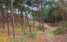 See 644 reviews, articles, and 469 photos of formby beach, ranked no.3 on tripadvisor among 12 attractions in formby. Uk Coastal Walks Formby Is This Britain S Most Exhilarating Coastal Landscape