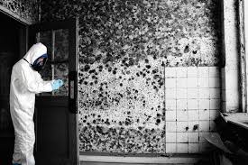 How long does it take for mold to grow in wet carpet. How Can You Protect Your Family From Mold Illustration Today