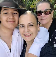 How to properly wire and control ceiling fans installed by a landlord?