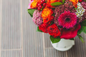 The colors of red roses range from bright red, blackish red to deep burgundy, each shade carrying significance with itself. 182 Bordeaux Roses Photos Free Royalty Free Stock Photos From Dreamstime