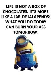 Pin On Funny Minion Quotes