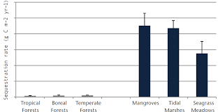 coastal blue carbon approaches for