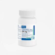 Image result for Clindamycin