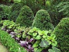 Old Rosedale Gardens In Livonia Michigan Garden Hedges Front Yard Landscaping Outdoor Gardens