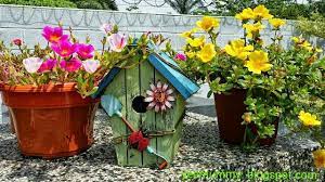 yeemummy依玛密 moss rose rose moss 松葉牡丹 rose moss outdoor decor