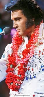 We are so excited to share that our very own Freddie: Michael Spence, also  known as Mickey Callisto, has made it through to the live semi finals of  Britain's Got Talent, and