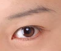 crease and contour eyeshadow asian