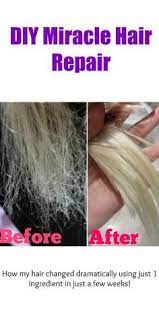 Diy Miracle Hair Repair Recipe Hair Repair Hair Treatment Coconut Oil Hair