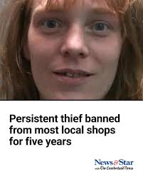 She stole a variety of goods