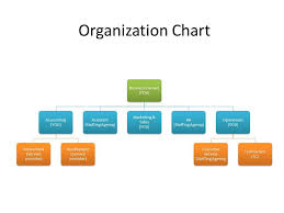 So, how have successful leaders structured their finance departments to support growth? Small Business Organizational Structure Business Organizational Structure Organizational Structure Education Technology Learning