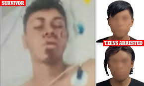 Two teenage boys, 15 and 16, among six suspects arrested over the  kidnapping and murder of six teens, who were killed at a ranch